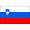 Logo Slovenia U19