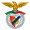 Logo SB Castelo Branco