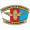 Logo Czarni Sosnowiec W