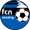 Logo Nenzing