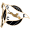 Logo SC Espinho