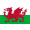 Logo Wales U19 W