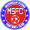 Logo Michigan Stars