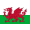 Logo Wales U21